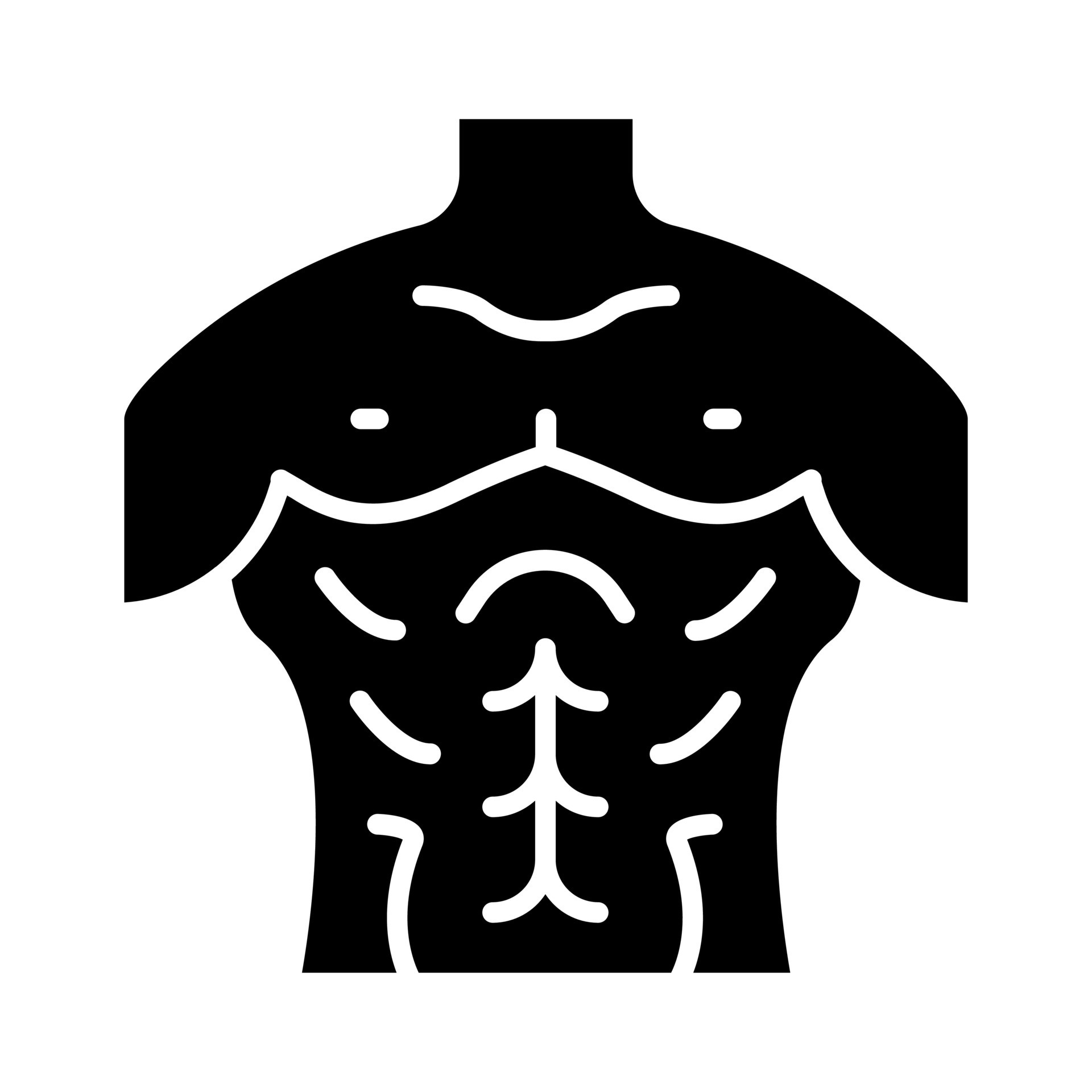 Chest icon