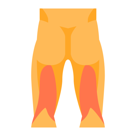 Hamstrings icon